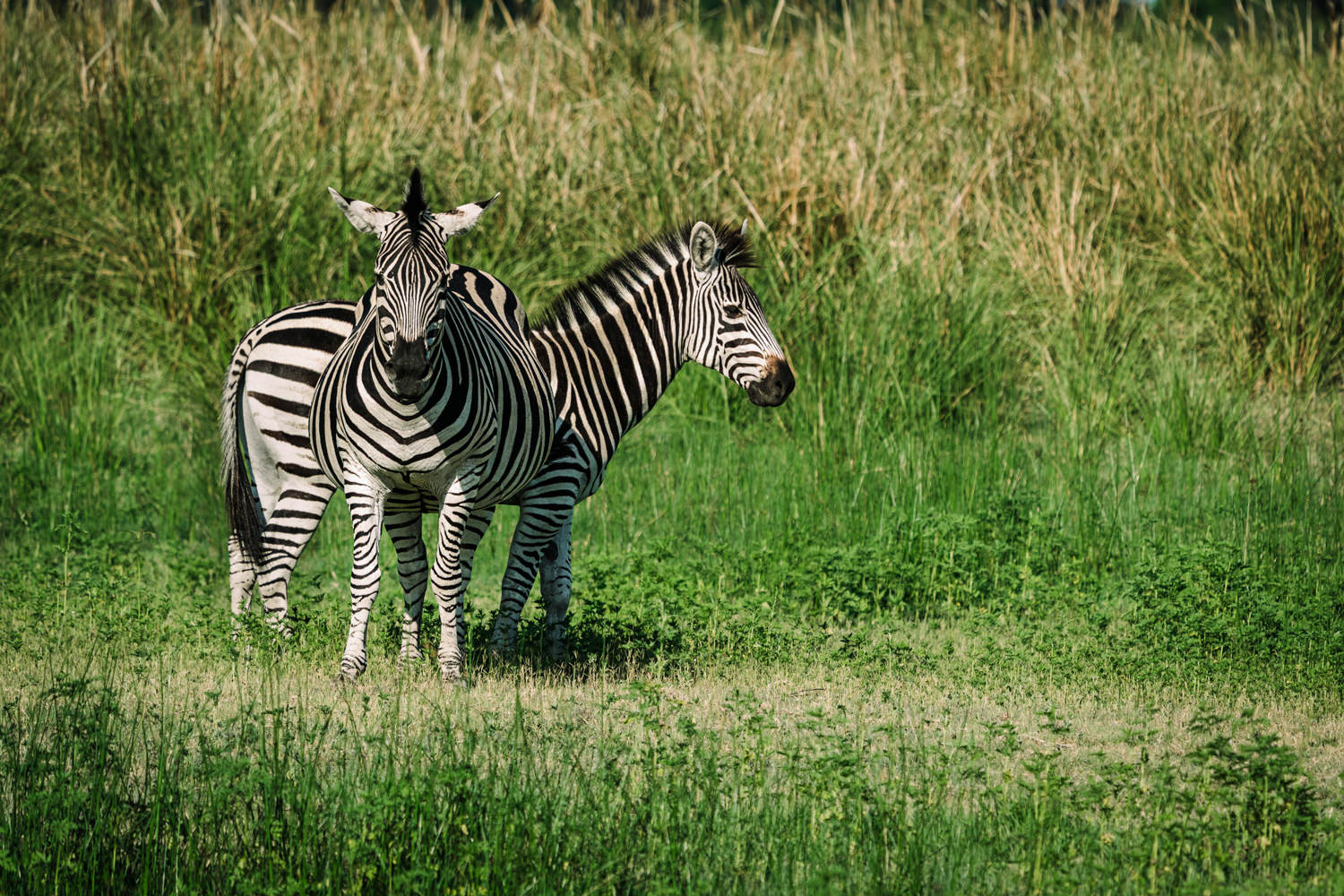 Namibia Christine und Kevin