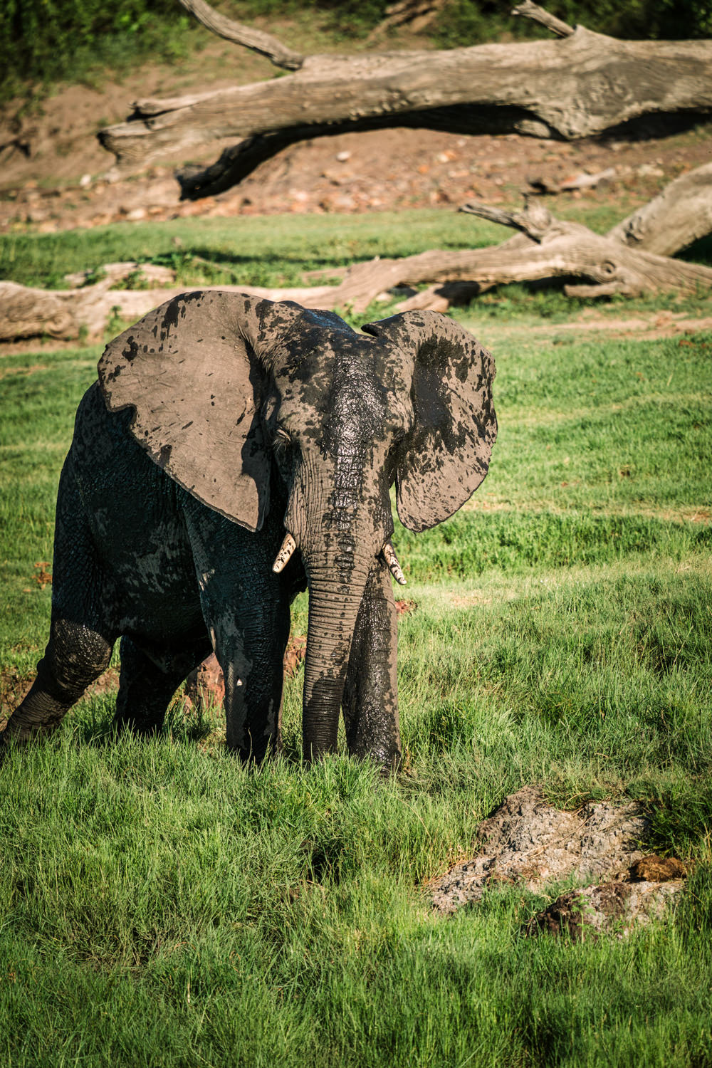 Namibia Christine und Kevin