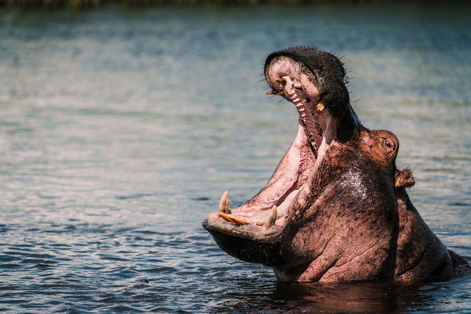 Namibia Christine und Kevin