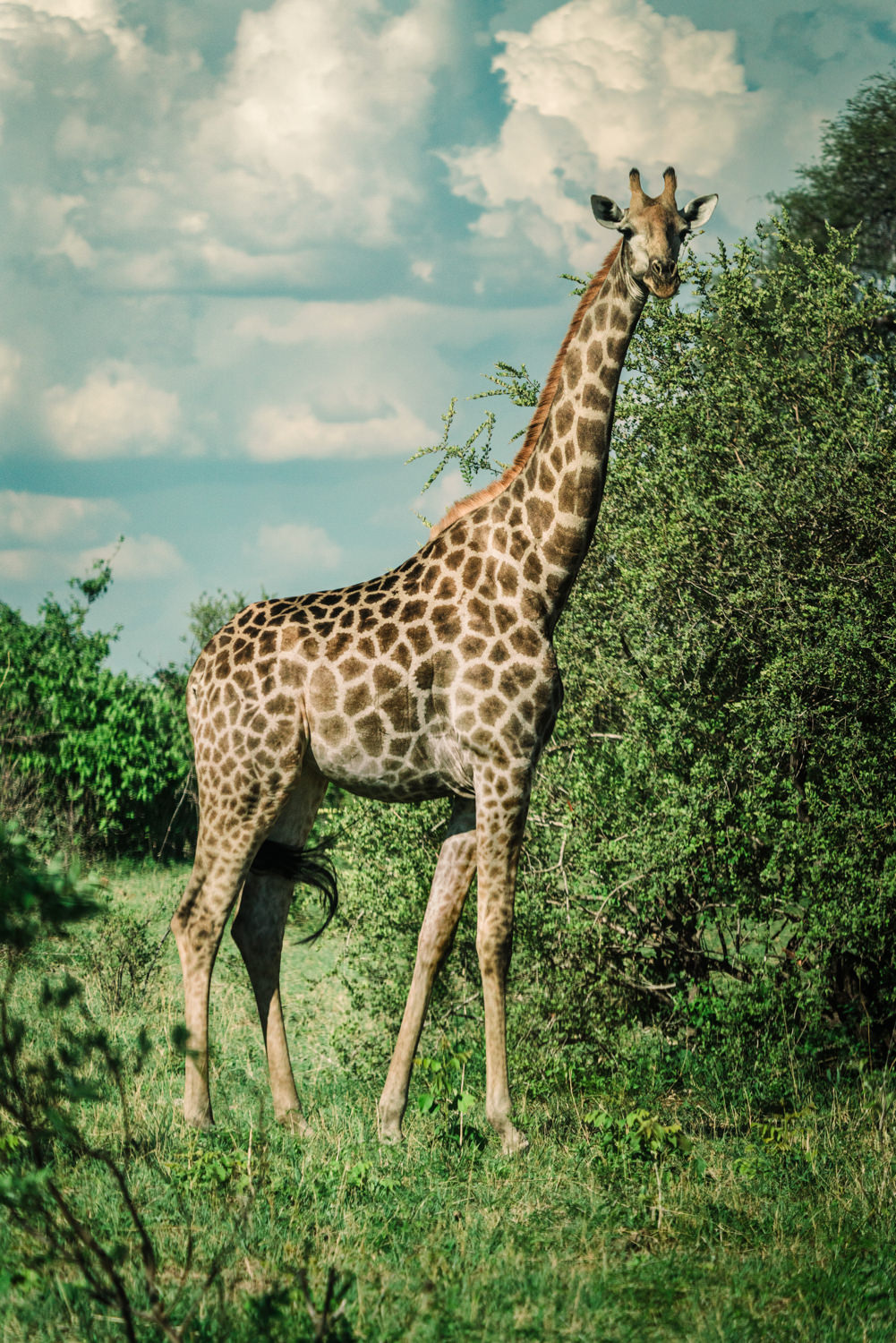 Namibia Christine und Kevin