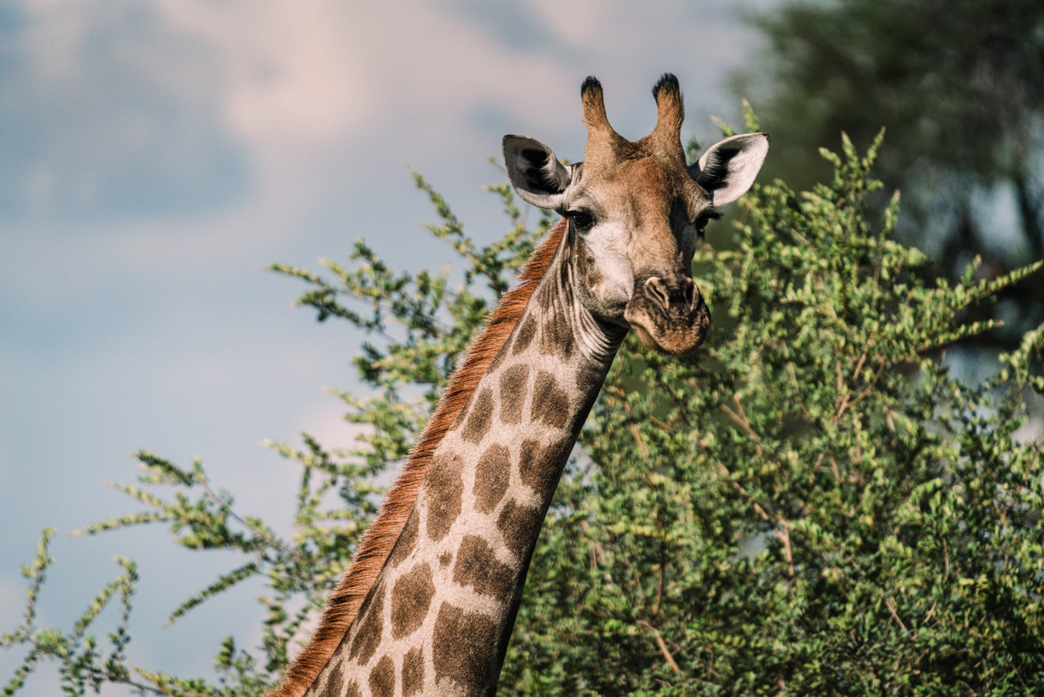 Namibia Christine und Kevin