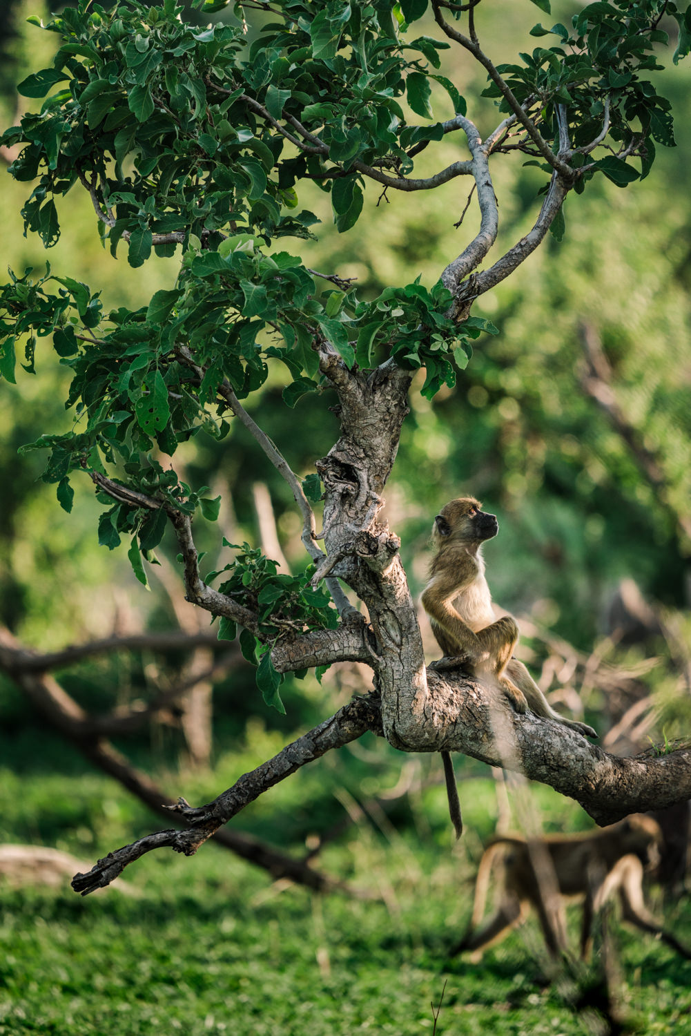 Namibia Christine und Kevin