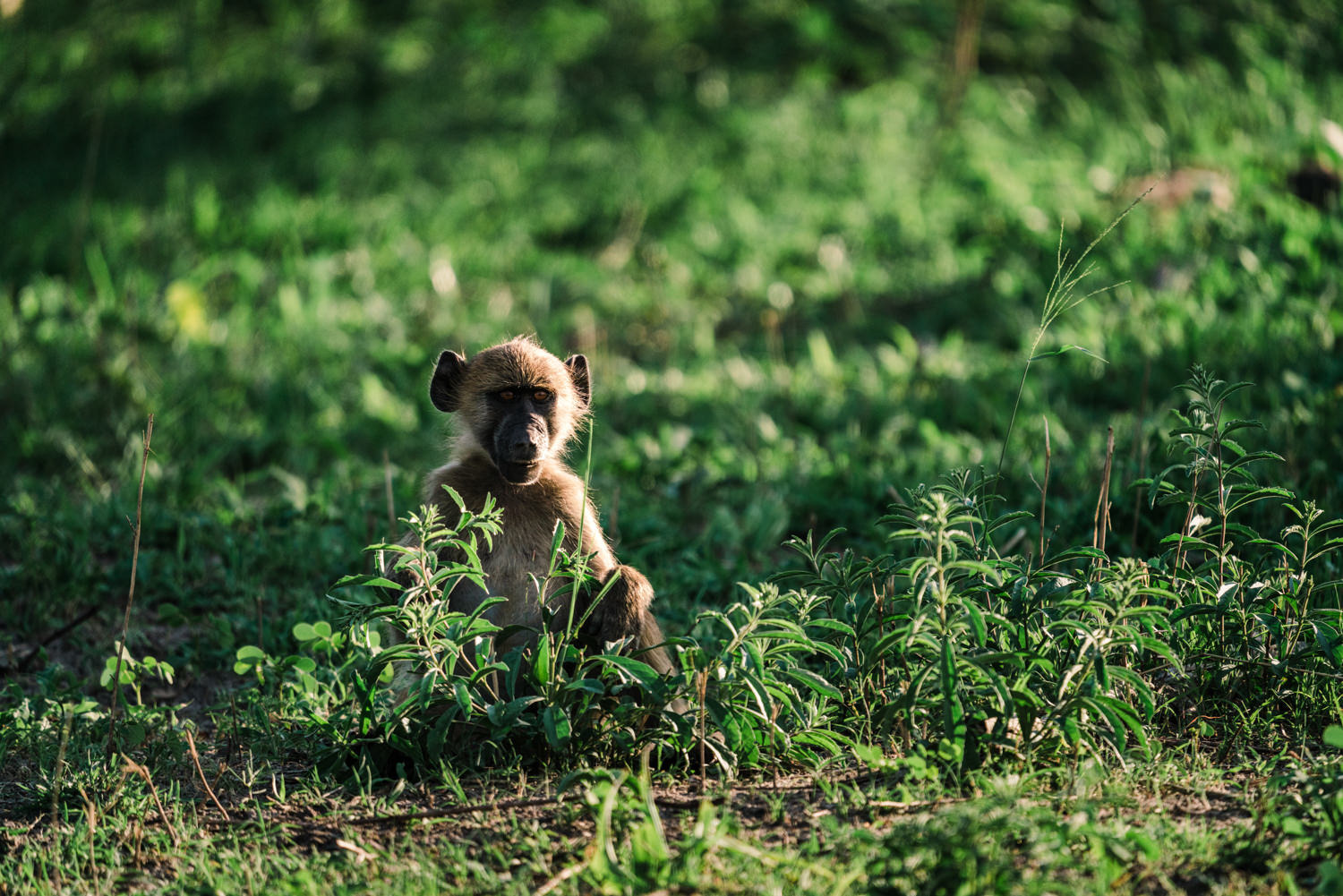 Namibia Christine und Kevin
