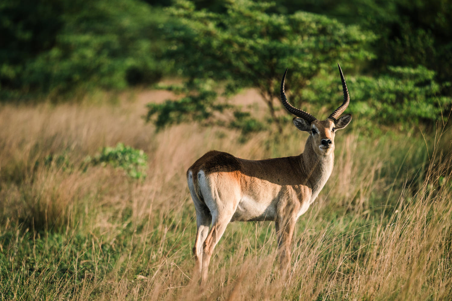 Namibia Christine und Kevin