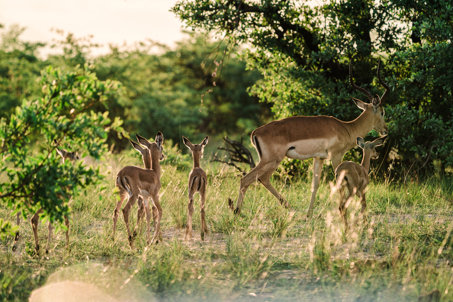 Namibia Christine und Kevin