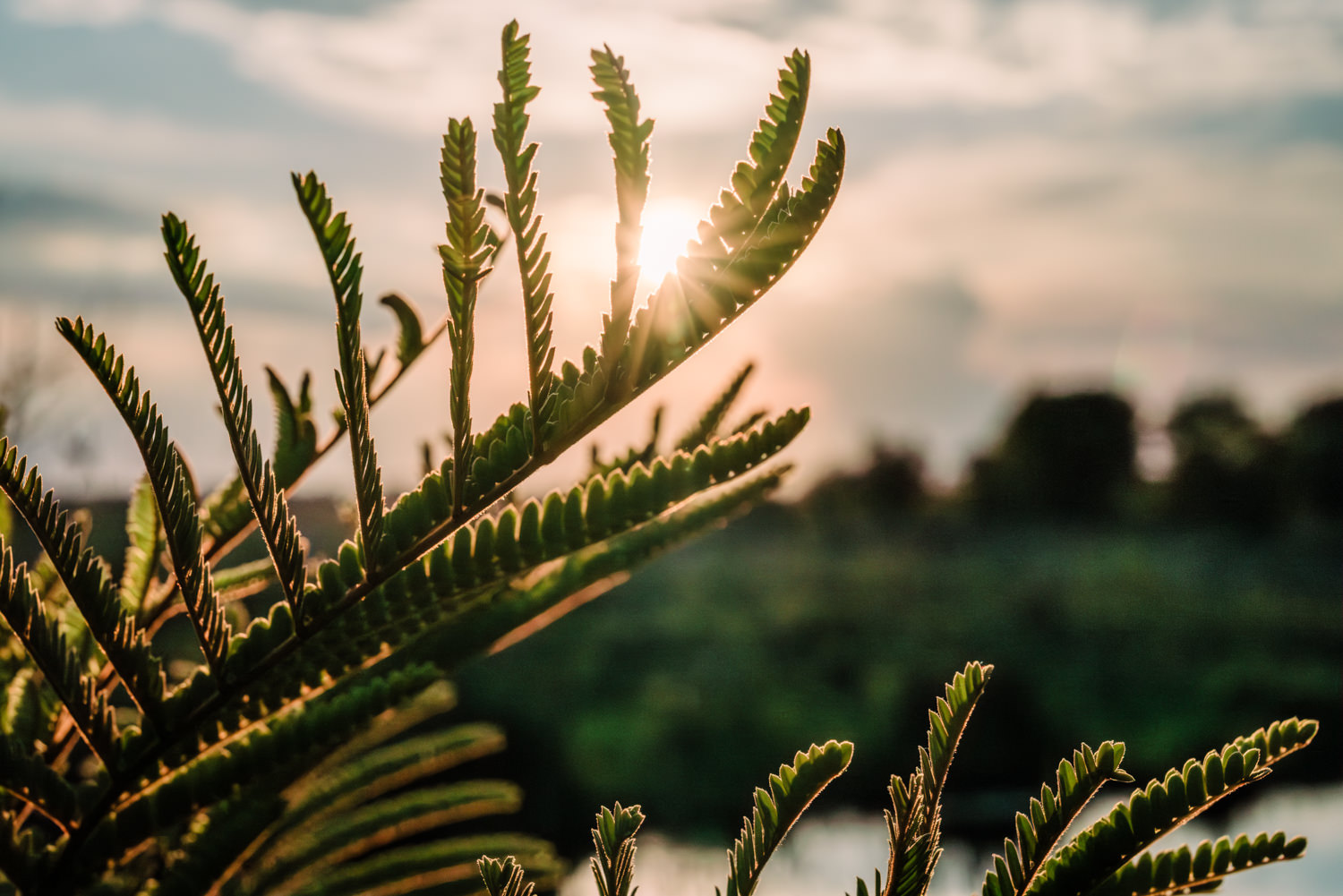 Namibia Christine und Kevin