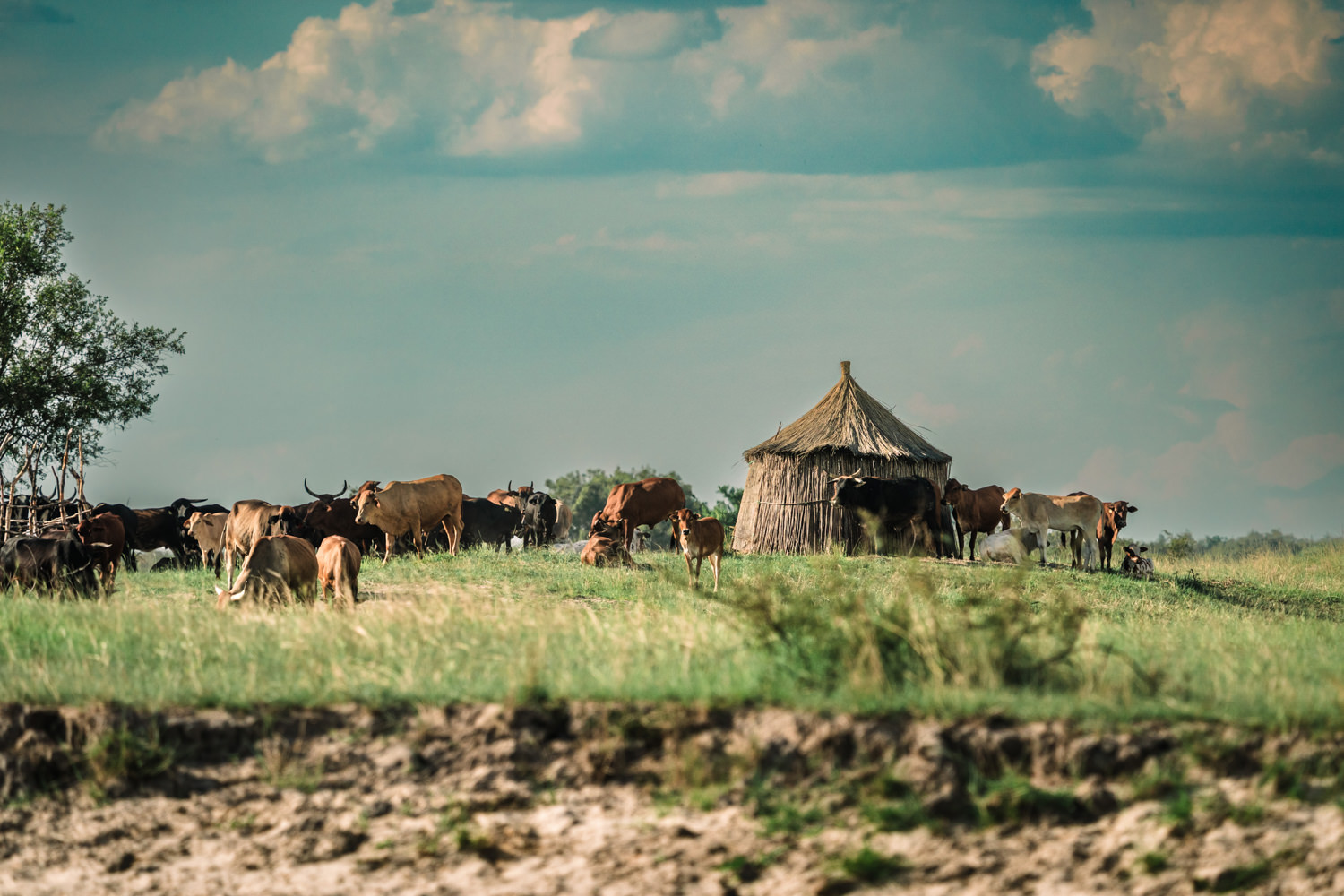 Namibia Christine und Kevin