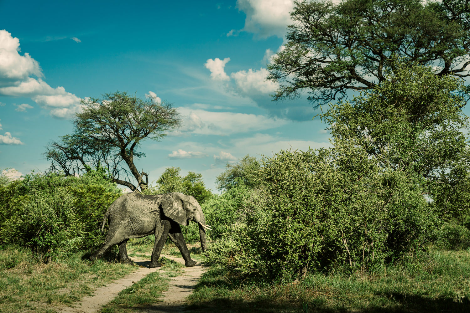 Namibia Christine und Kevin